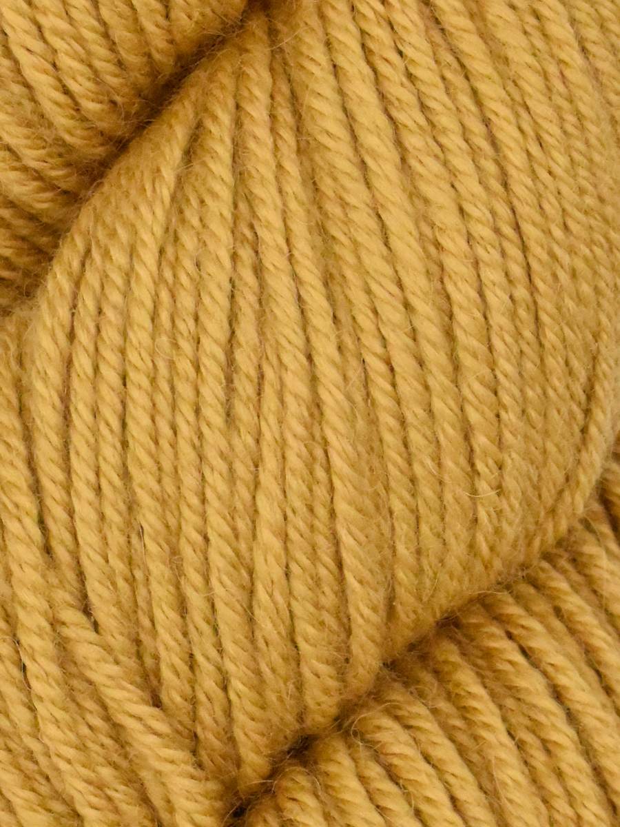 Ella Rae Cozy Alpaca Yarn - 10 Pack