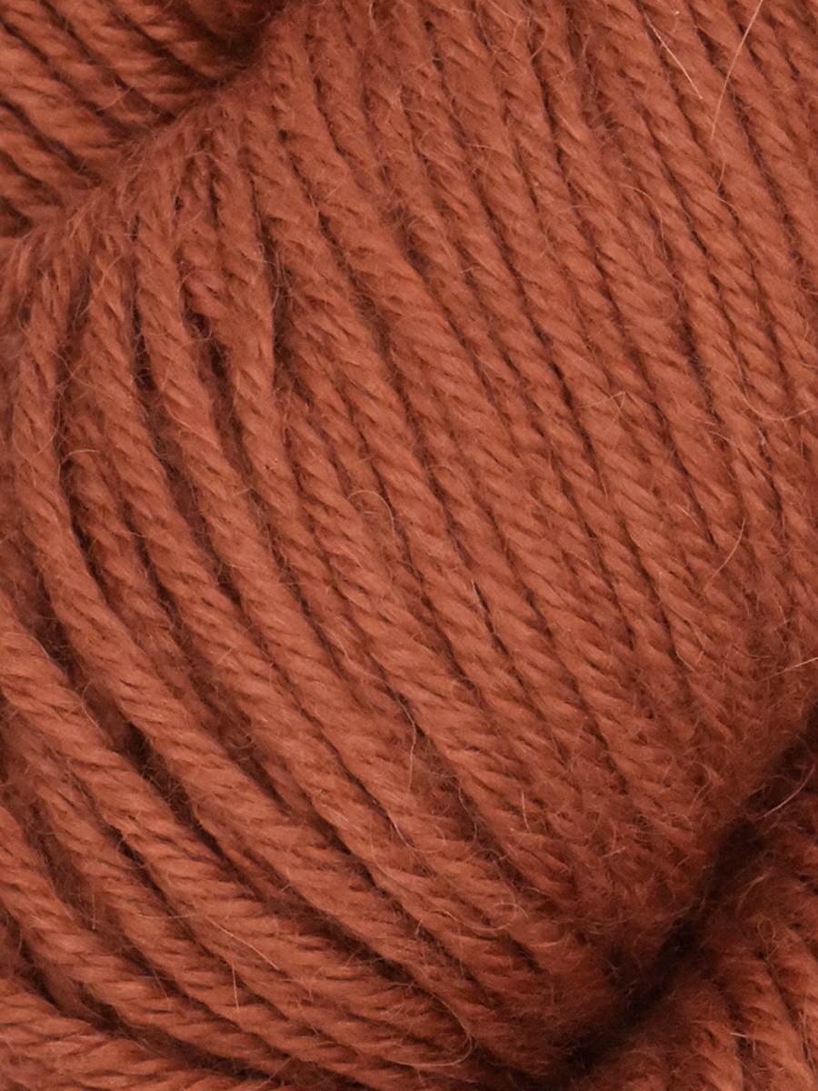 Ella Rae Cozy Alpaca Yarn - 10 Pack