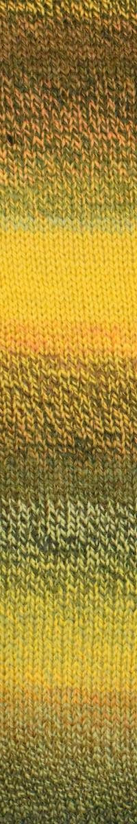 Ella Rae Color Magic Yarn - 10 Pack