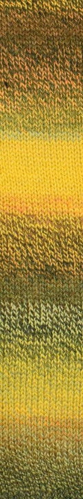 Ella Rae Color Magic Yarn - 10 Pack