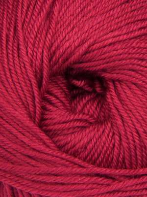 Ella Rae Cozy Soft Yarn - 10 Pack