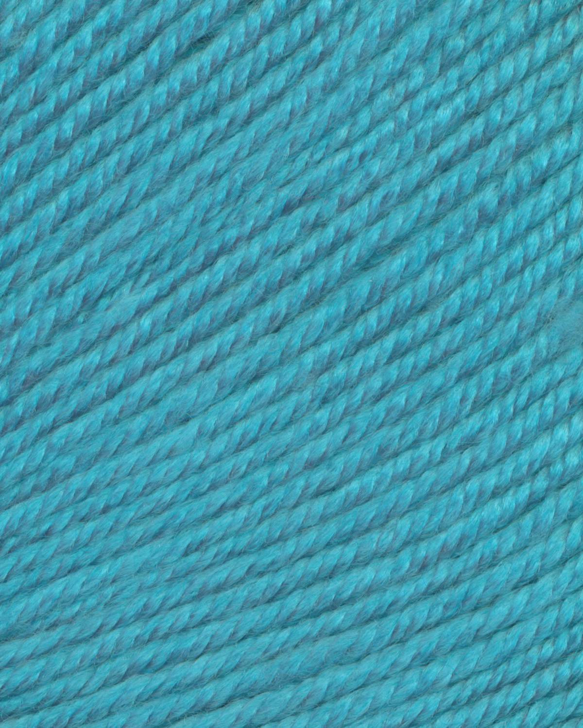 Ella Rae Cozy Soft Yarn - 10 Pack