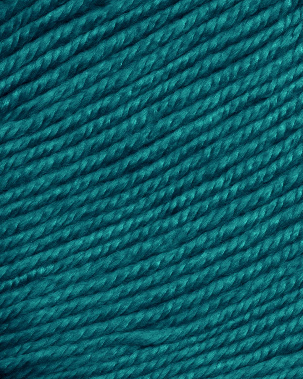 Ella Rae Cozy Soft Yarn - 10 Pack