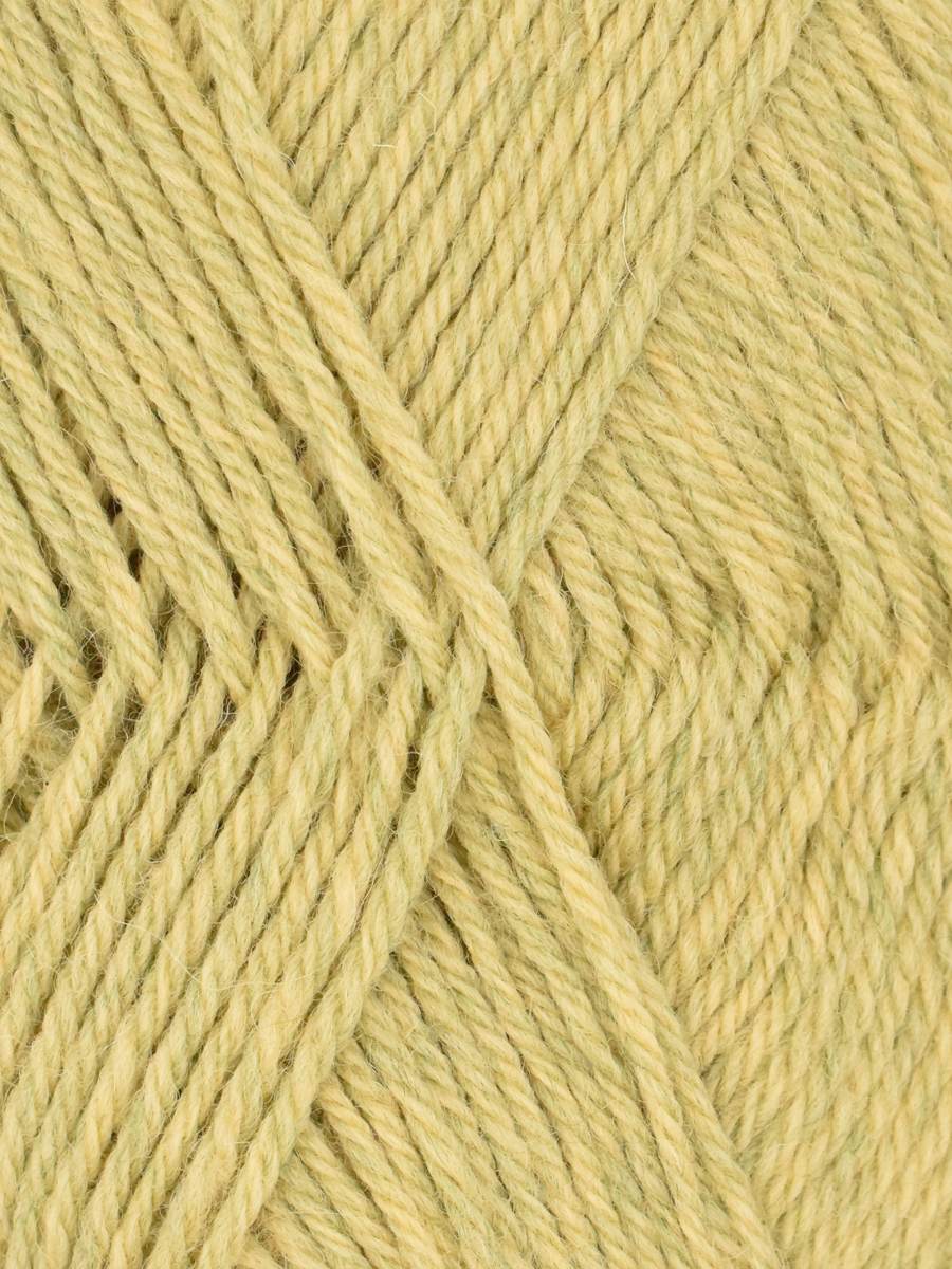 Ella Rae Classic Wool Yarn - 10 Pack