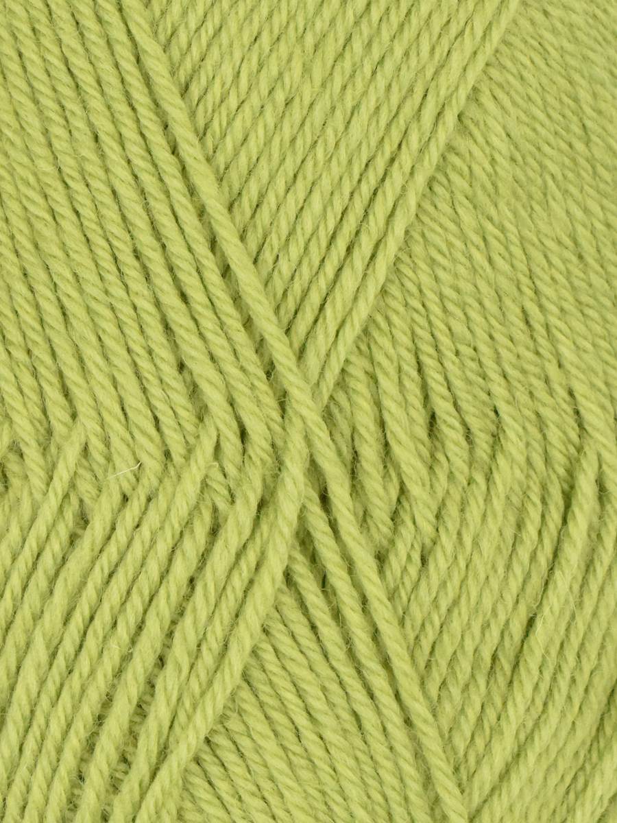Ella Rae Classic Wool Yarn - 10 Pack