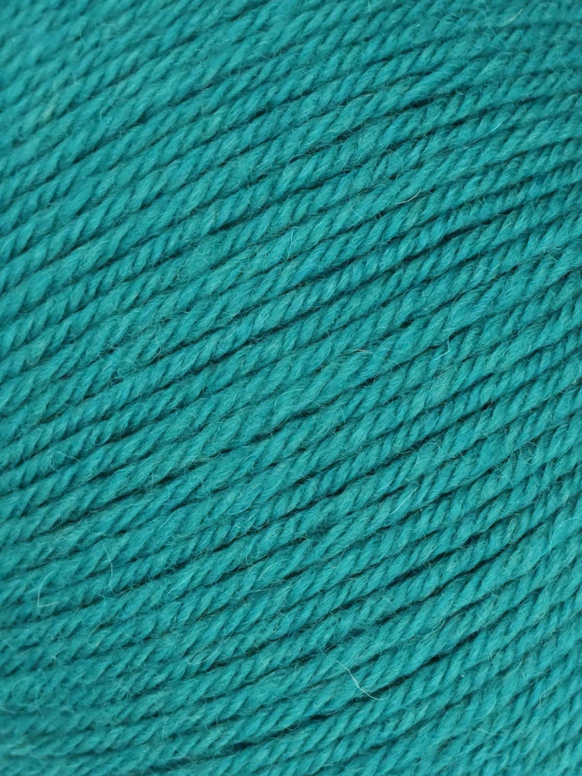Ella Rae Classic Superwash Yarn - 10 Pack