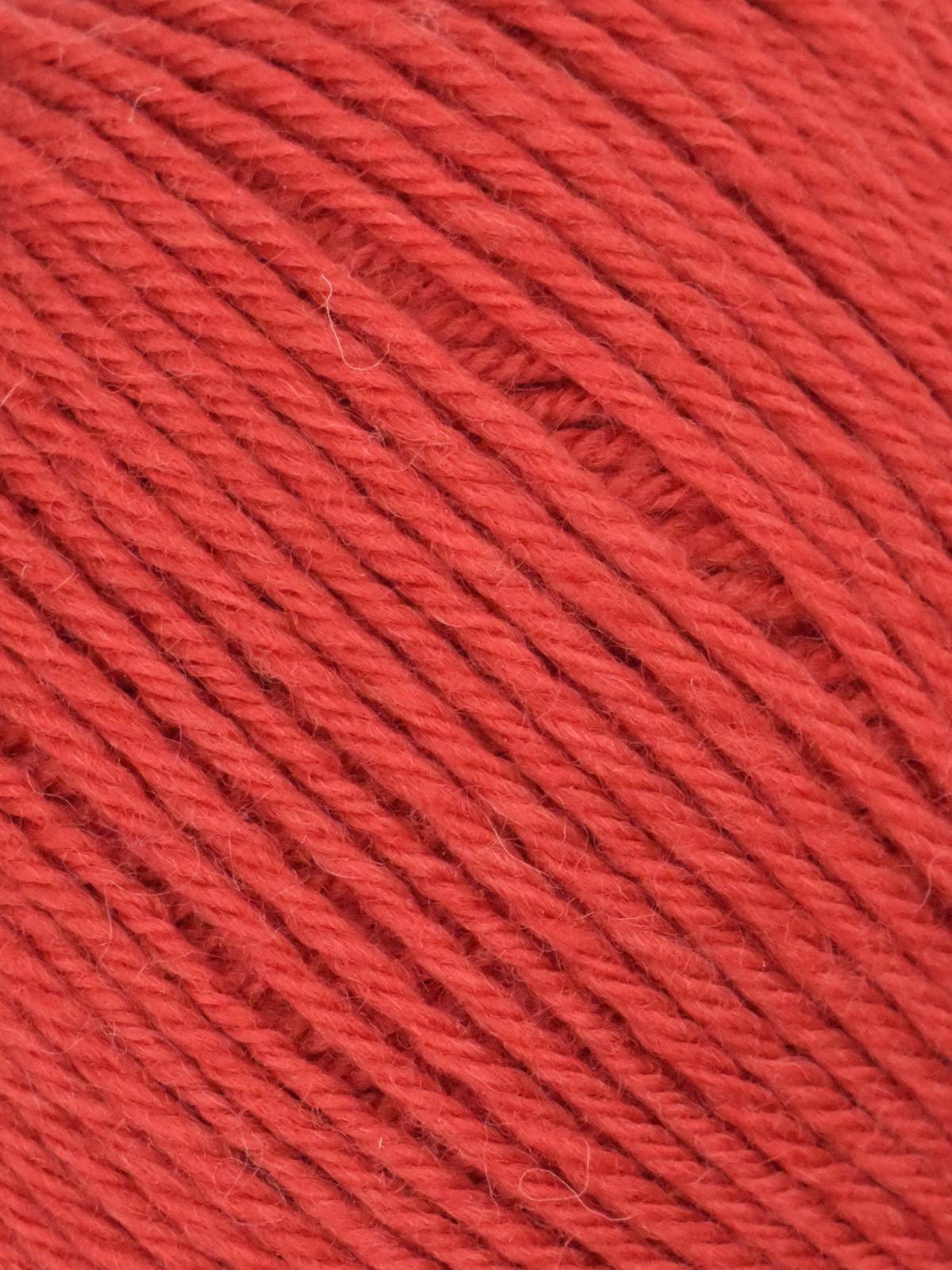 Ella Rae Classic Superwash Yarn - 10 Pack